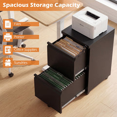 2-Drawer Mobile File Cabinet with 5 Casters and 2 Keys for A4-Black