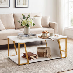 2-Tier Coffee Table with Storage Shelf and Open Compartment-White & Golden