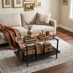 2-Tier Rectangular Tempered Glass Coffee Table with Storage Shelf-Black