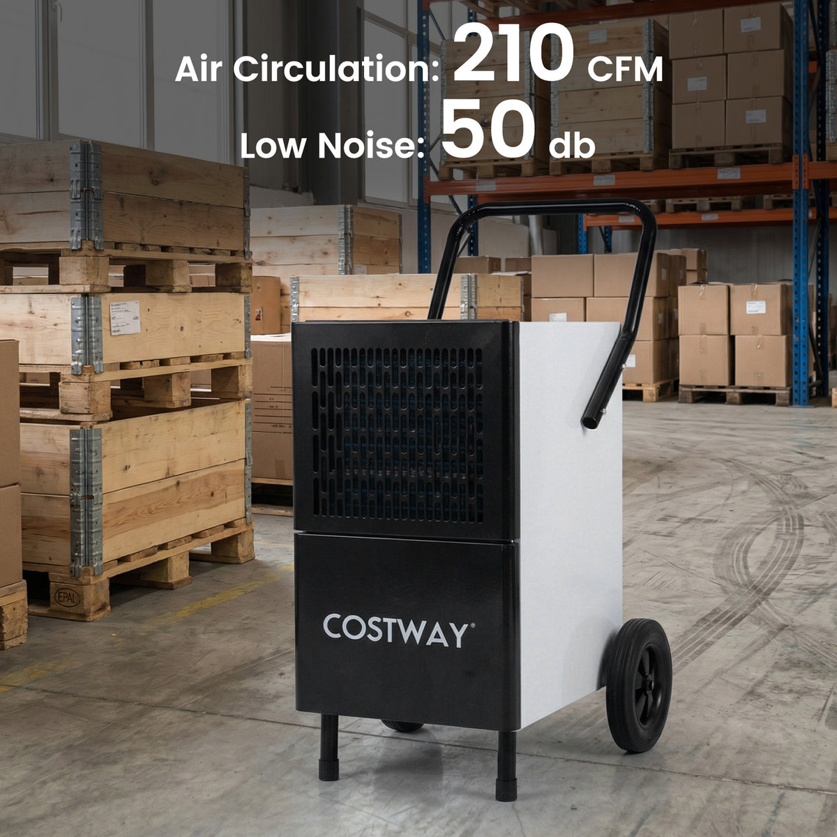 80L/Day Commercial Dehumidifier with Built-in Water Pump-Black