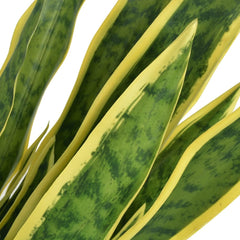 vidaXL Fake Plant | Green | Plastic and iron wire, Real wood | 65 cm tall 2