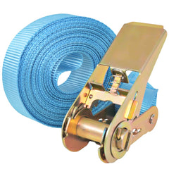 vidaXL Ratchet Tie Down Straps 10 pcs 0.8 Tonnes 4mx25mm Blue 2