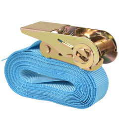 vidaXL Ratchet Tie Down Straps 10 pcs 0.8 Tonnes 4mx25mm Blue 3