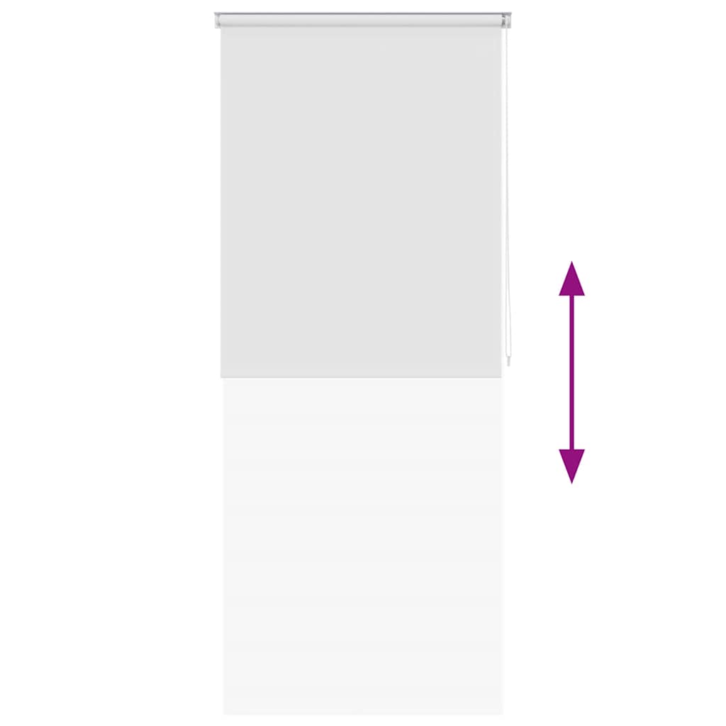 vidaXL Shower Roller Blind 120x240 cm White 5