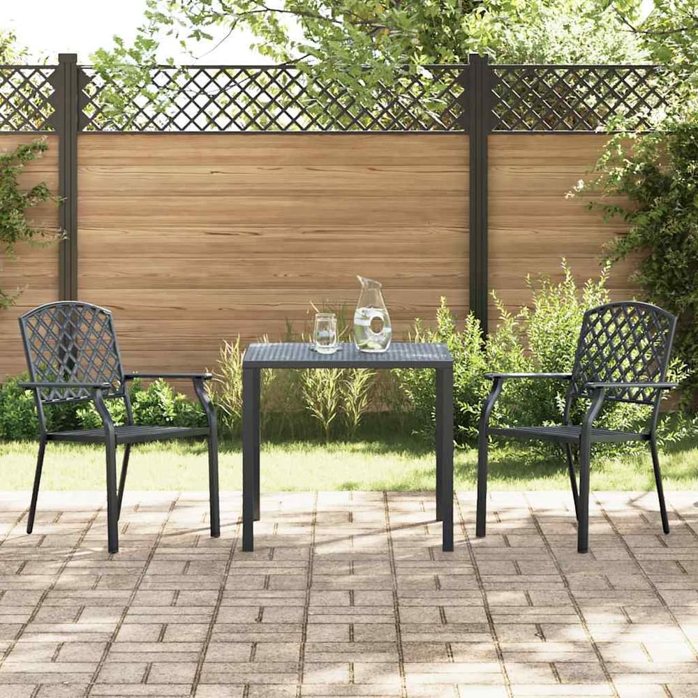 Garden Chair Steel 2 pcs 2