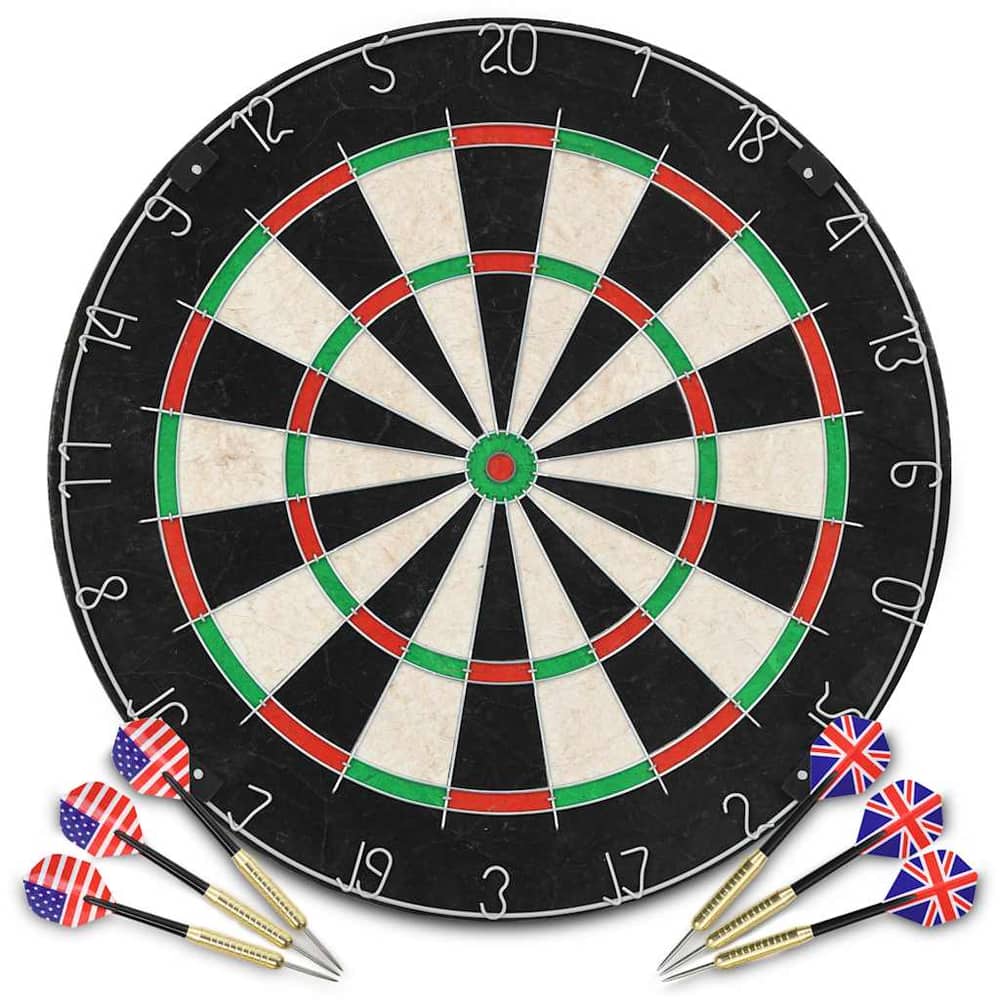 Professional Dart Dartboard Sisal Steel