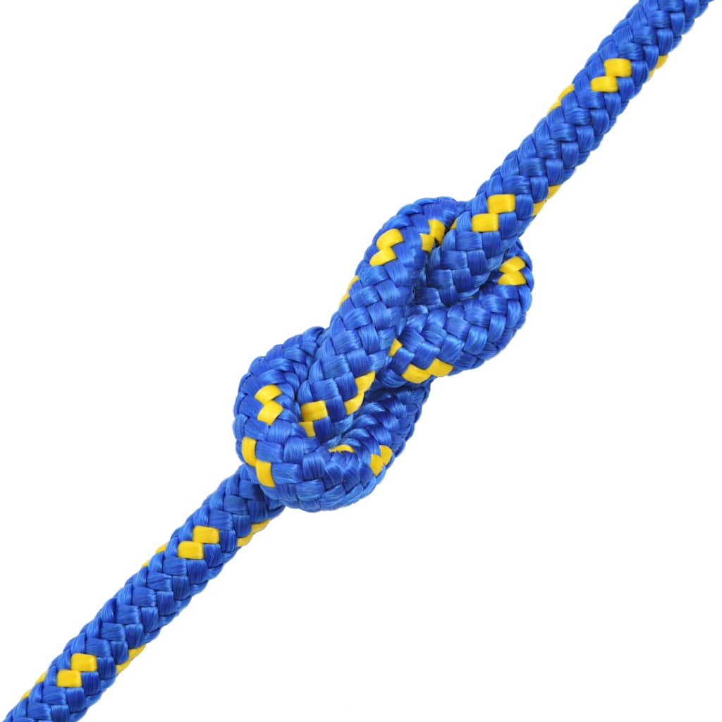 vidaXL Marine Rope Polypropylene 6 mm 500 m Blue 2
