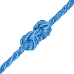 vidaXL Twisted Rope Polypropylene 10 mm 250 m Blue 2