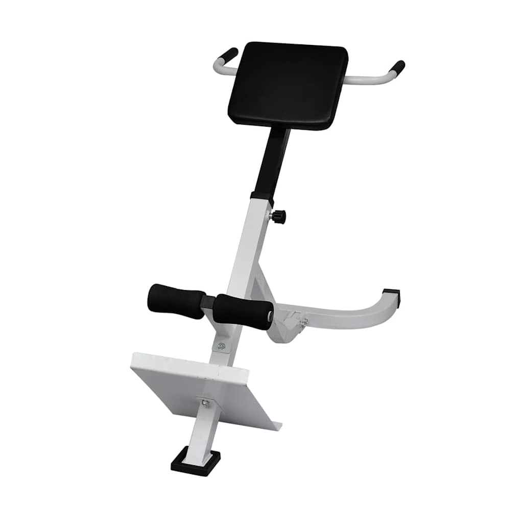 90361 vidaXL Back Extension Bench 2