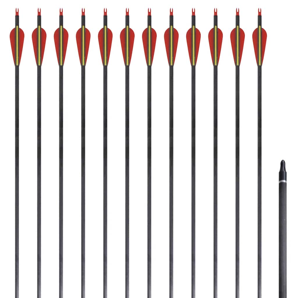 Standard Recurve Bow Arrows 30" 0.76 cm Carbon 12 pcs 1