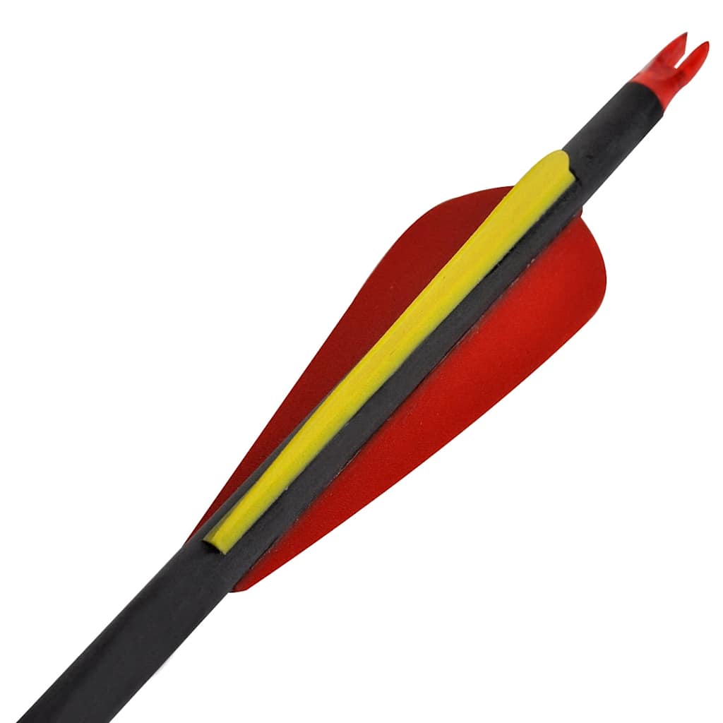 Standard Recurve Bow Arrows 30" 0.76 cm Carbon 12 pcs 3