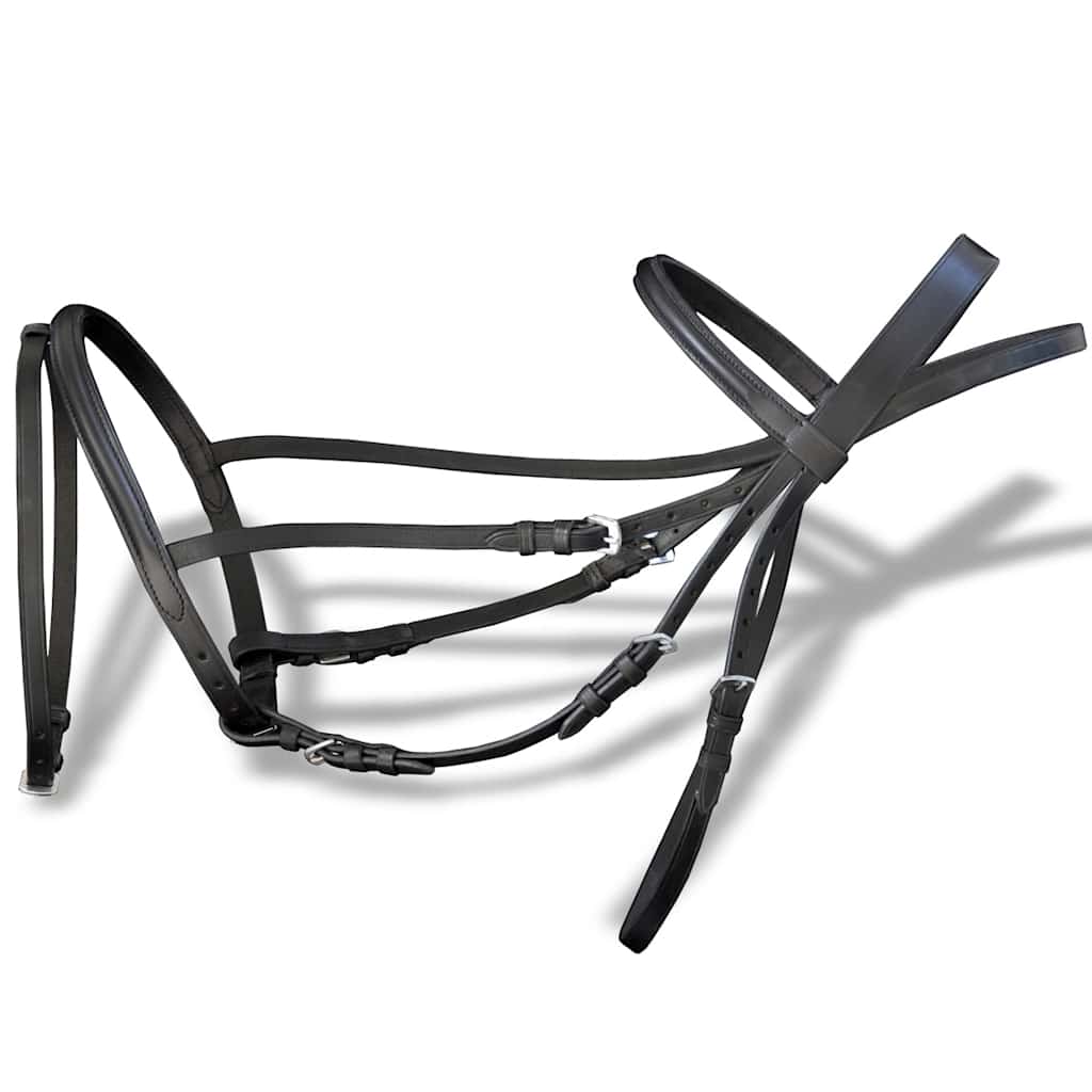 vidaXL Leather Flash Bridle with Reins and Bit Black Cob 2