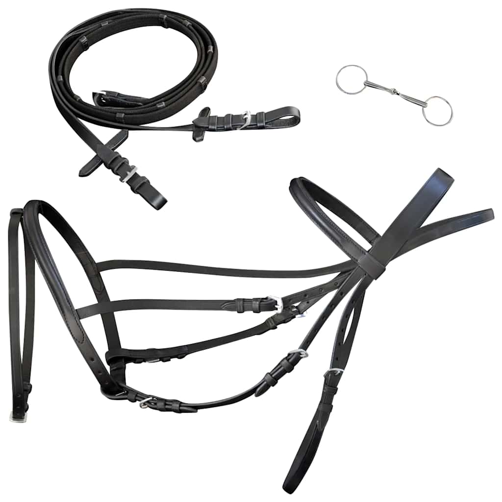 vidaXL Leather Flash Bridle with Reins and Bit Black Full 1