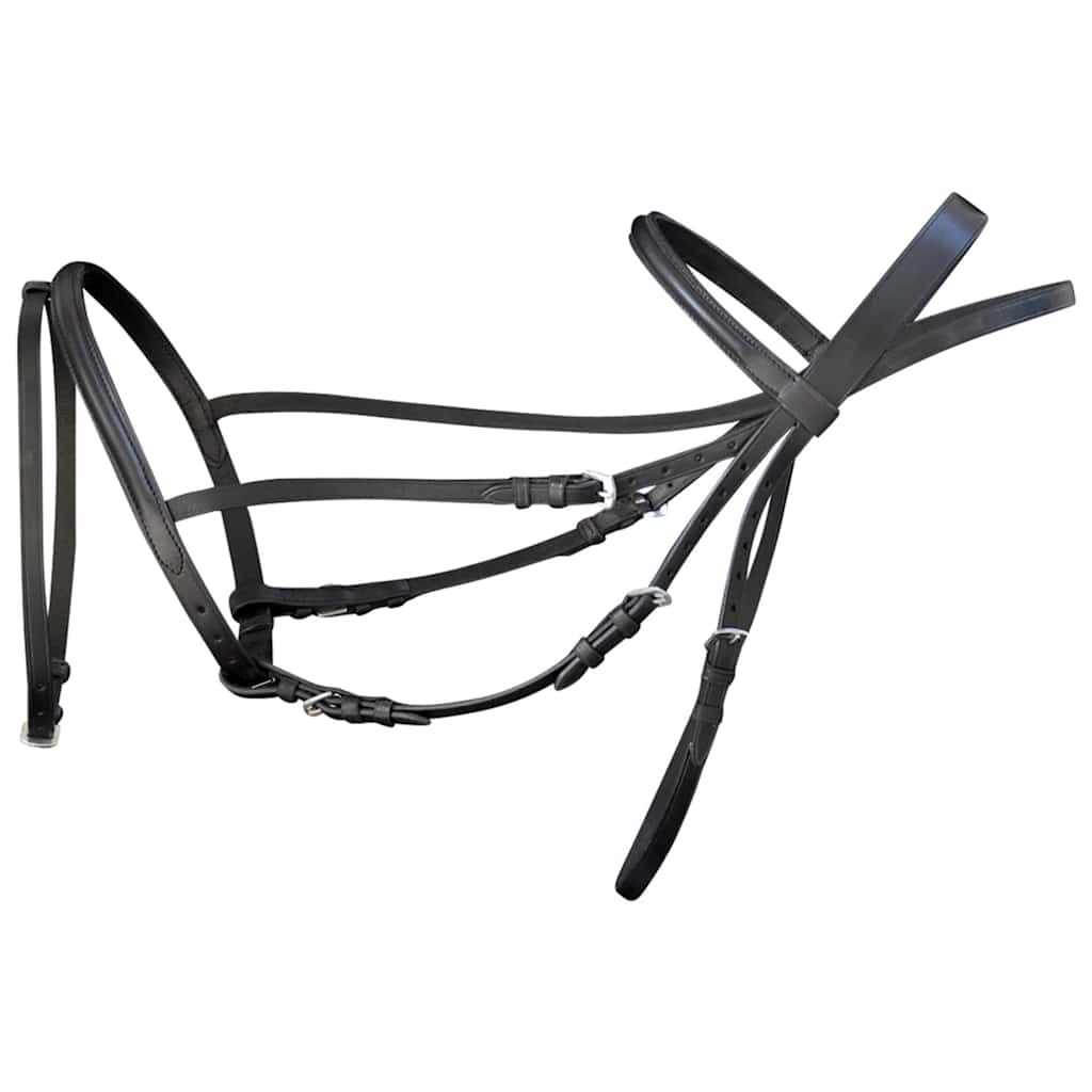 vidaXL Leather Flash Bridle with Reins and Bit Black Full 5
