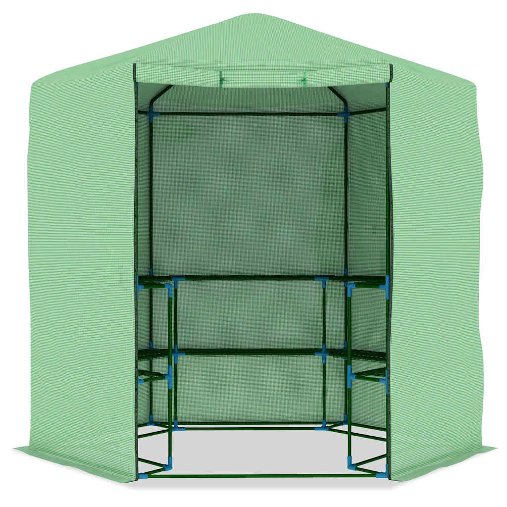48166 vidaXL Greenhouse with Shelves Steel 227x223 cm 4