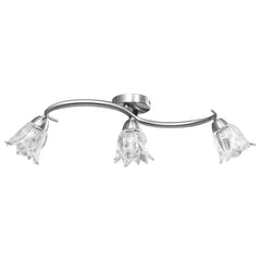 vidaXL Ceiling Lamp | Satin Chrome, Transparent 3