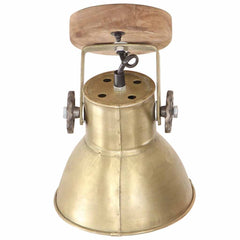 vidaXL Industrial Wall/Ceiling Lamps 2 pcs Brass 20x25 cm E27 5