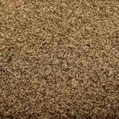 vidaXL Door Mat | Brown | Polyamide, PVC | Medium | Non-slip | Door Mat 4