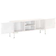vidaXL TV Cabinet | White | Solid mango wood, powder-coated steel | Medium 2