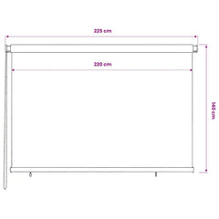 vidaXL Outdoor Roller Blind 225(W)x140(H) cm Terracotta HDPE 6