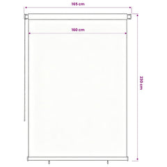vidaXL Outdoor Roller Blind 165(W)x230(H) cm Blue HDPE 6