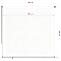 vidaXL Outdoor Roller Blind 185(W)x230(H) cm Blue HDPE 6