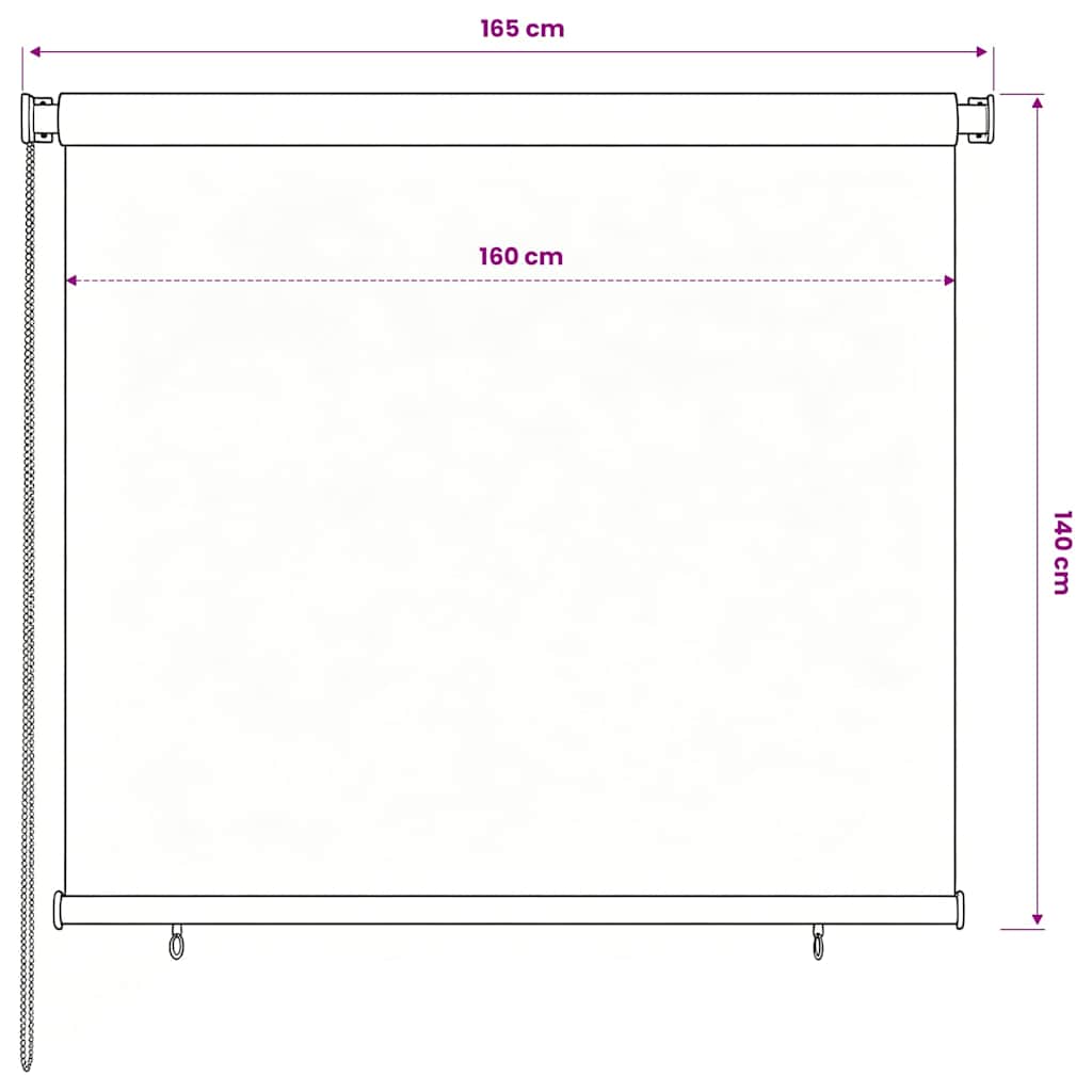 vidaXL Outdoor Roller Blind 165(W)x140(H) cm Black 6