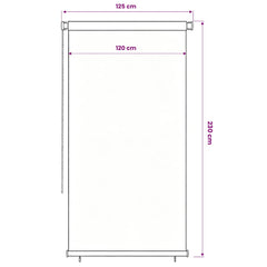 vidaXL Outdoor Roller Blind 125(W)x230(H) cm Black 6