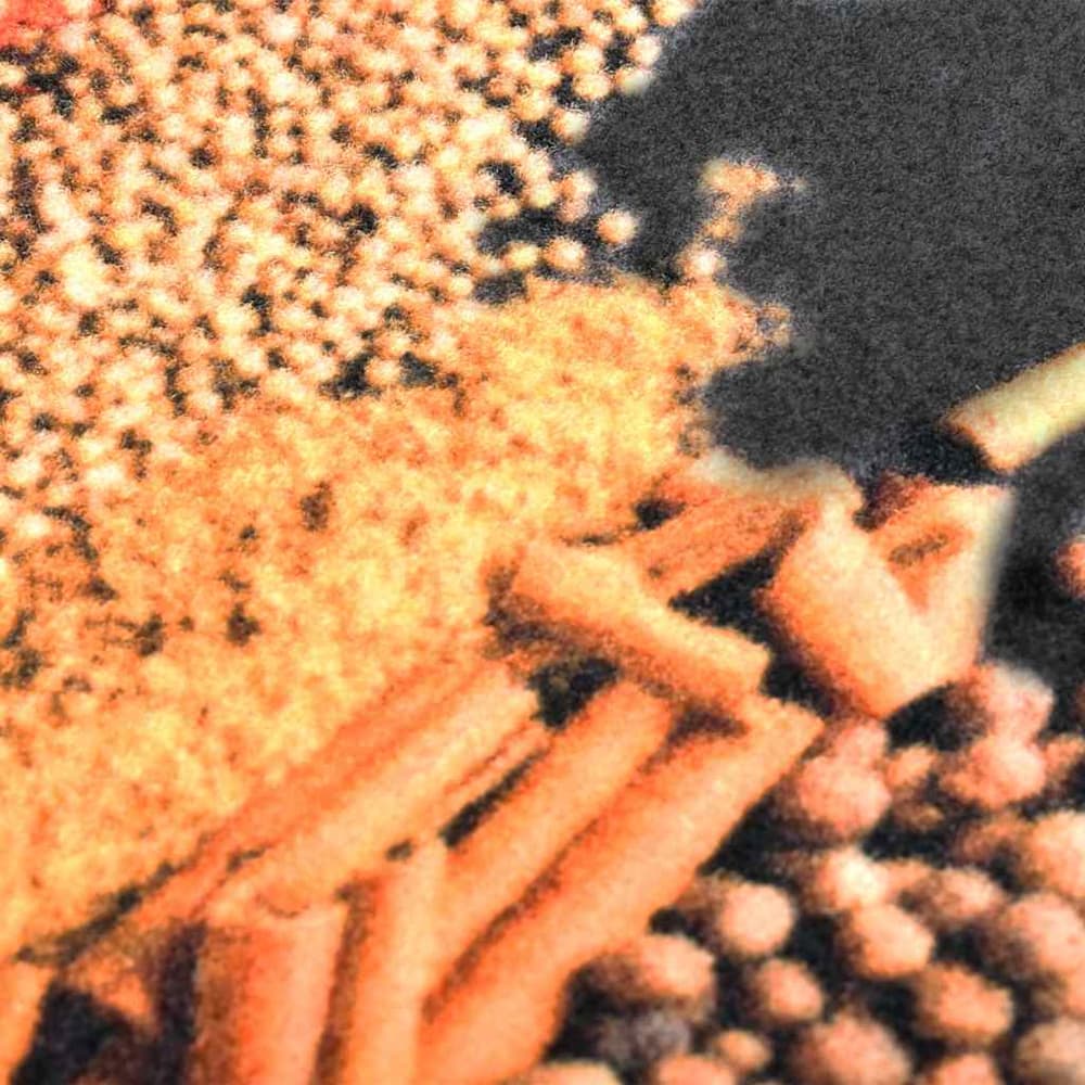 315954 vidaXL Kitchen Carpet Washable Spice 60x300 cm 4