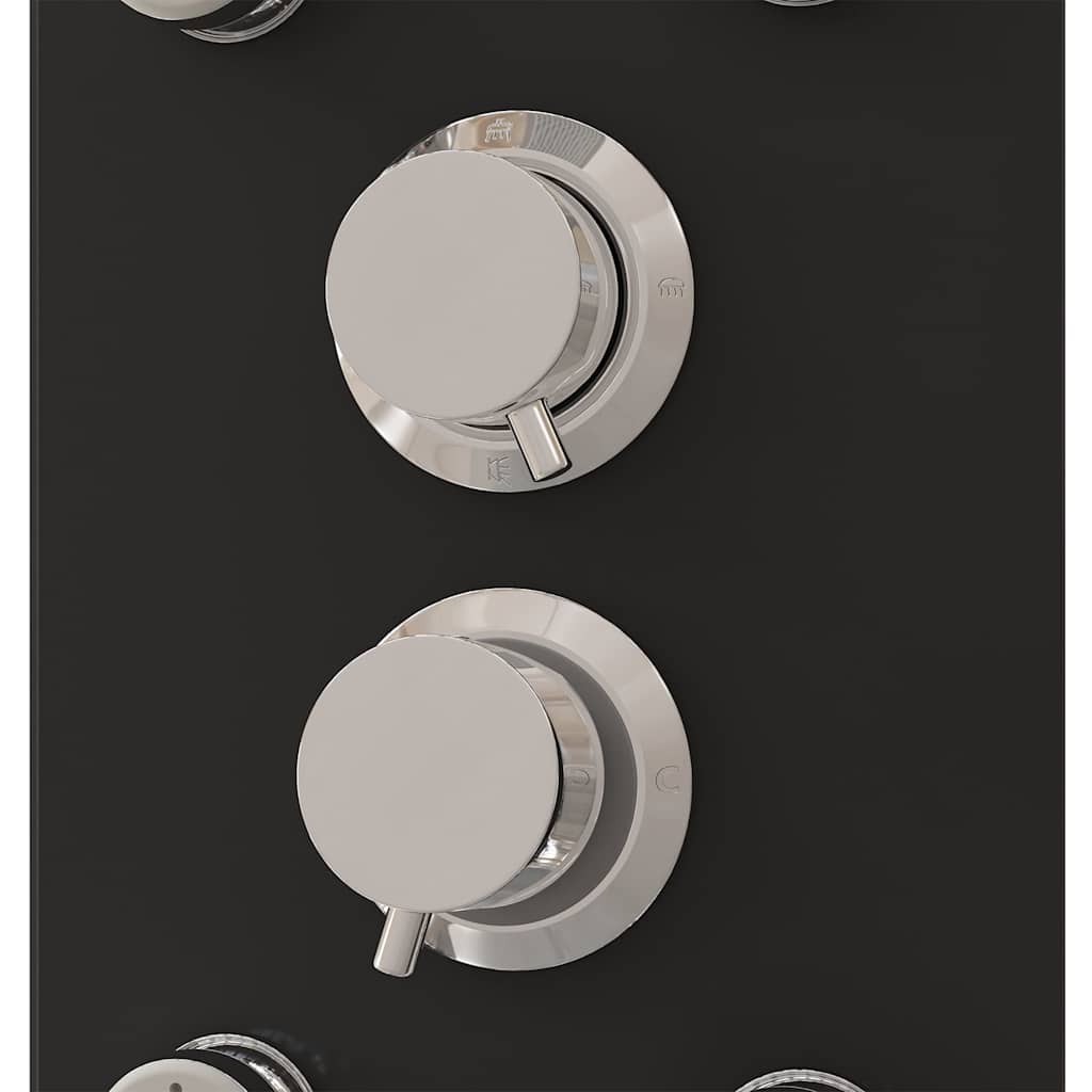 Shower Panel Unit Glass 25x47,5x130 cm Black