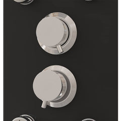 Shower Panel Unit Glass 25x47,5x130 cm Black