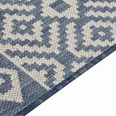 vidaXL Outdoor Flatweave Rug 80x250 cm Blue Stripes 4