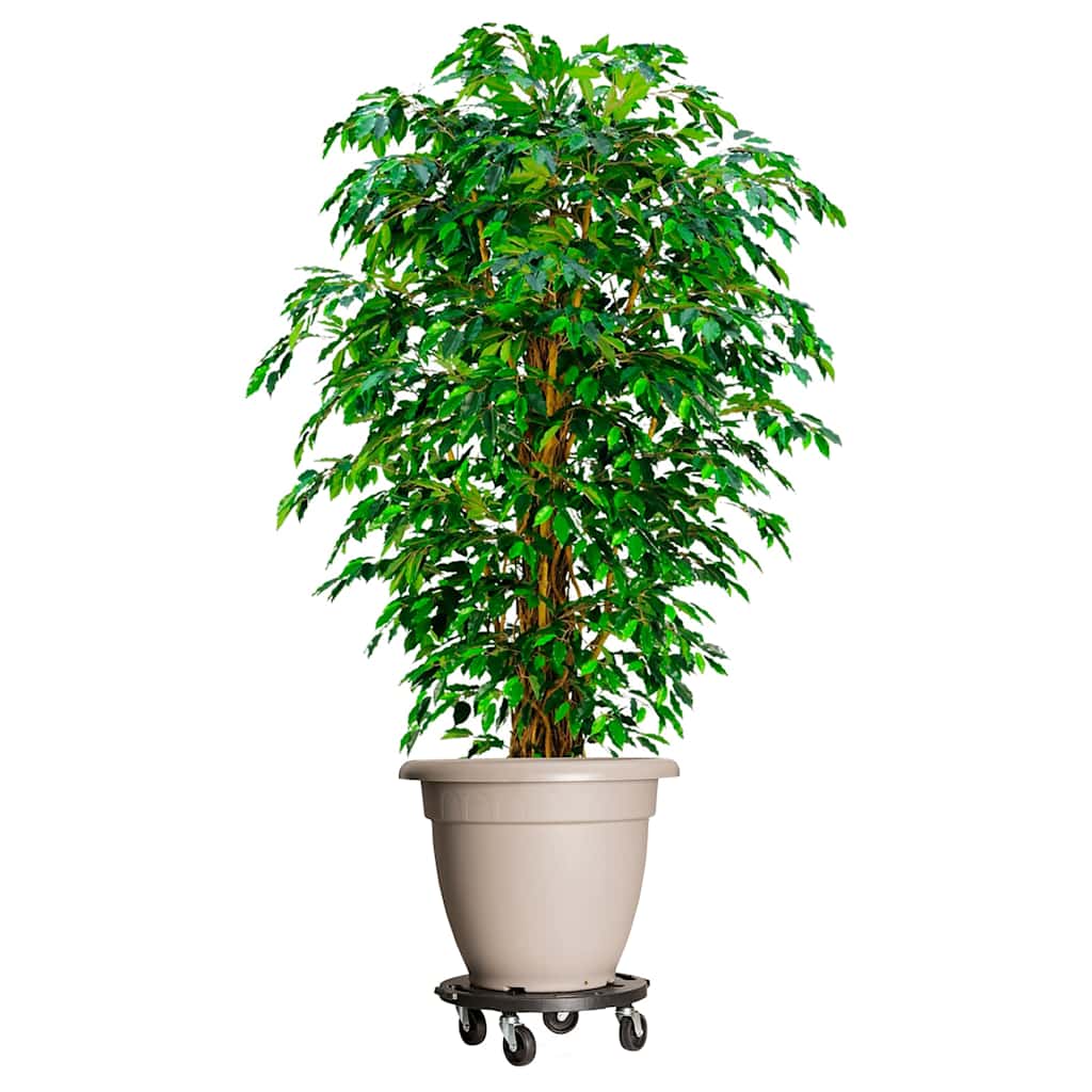151830 vidaXL Plant Trolley with Wheels Diameter 40 cm Black 275 kg 1