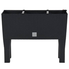 152208 vidaXL Raised Garden Bed Anthracite 60x25x46 cm PP Rattan 3