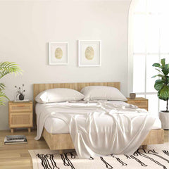 vidaXL Bedside Cabinet | Brown | Engineered wood, Solid pinewood, Natural rattan 3