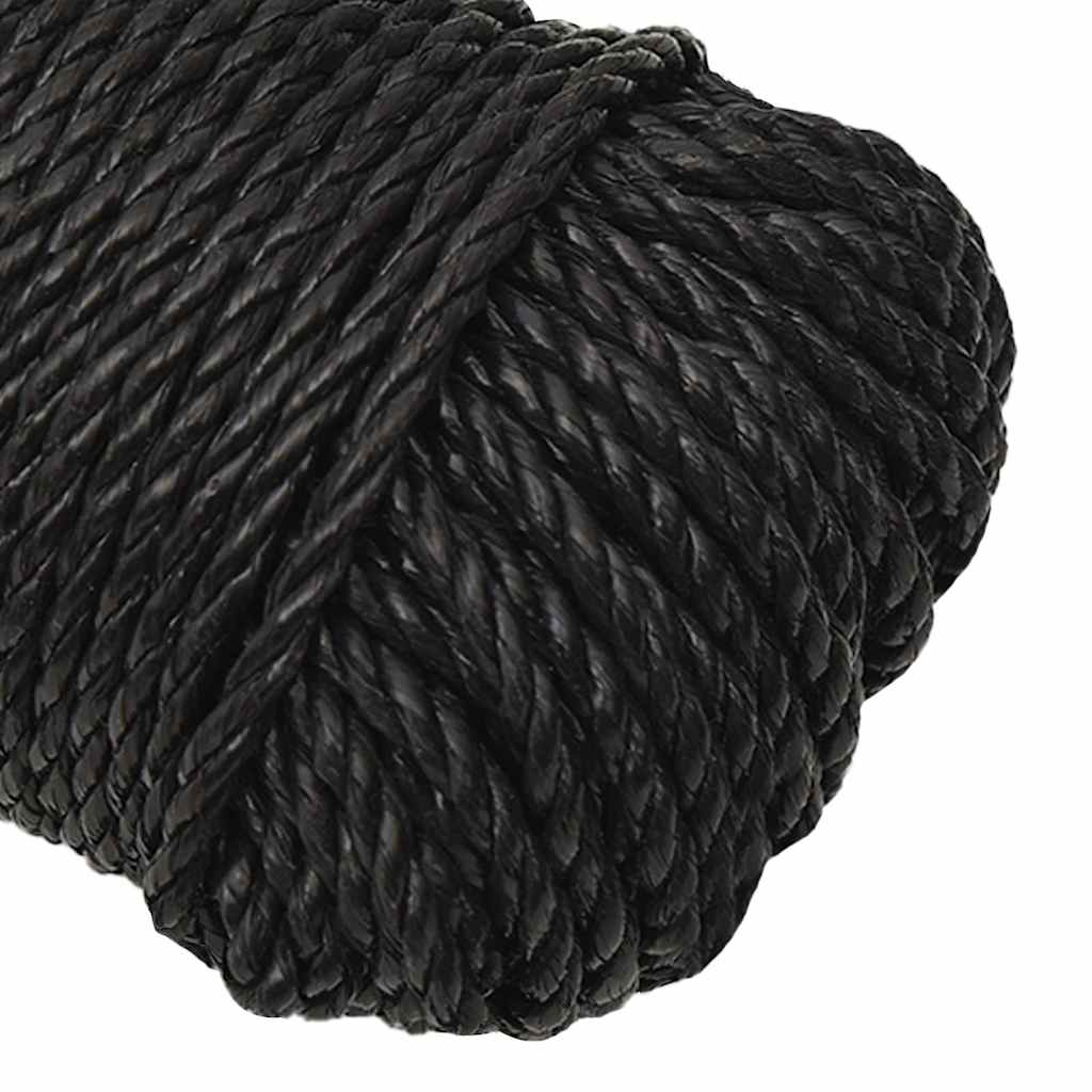 vidaXL Work Rope Black 6 mm 500 m Polypropylene 4