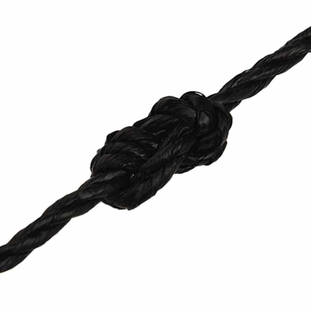 vidaXL Work Rope Black 6 mm 500 m Polypropylene 5