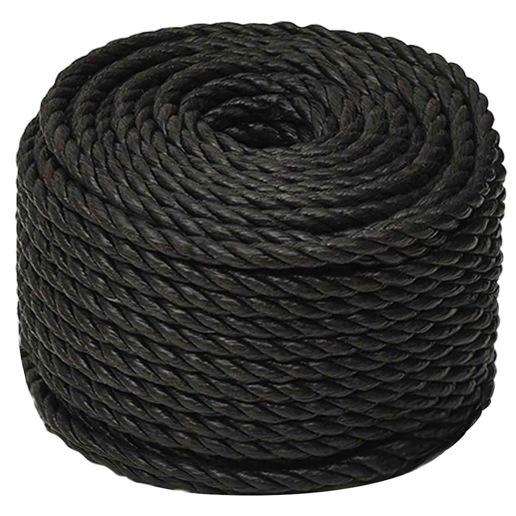 vidaXL Work Rope Black 10 mm 250 m Polypropylene 2