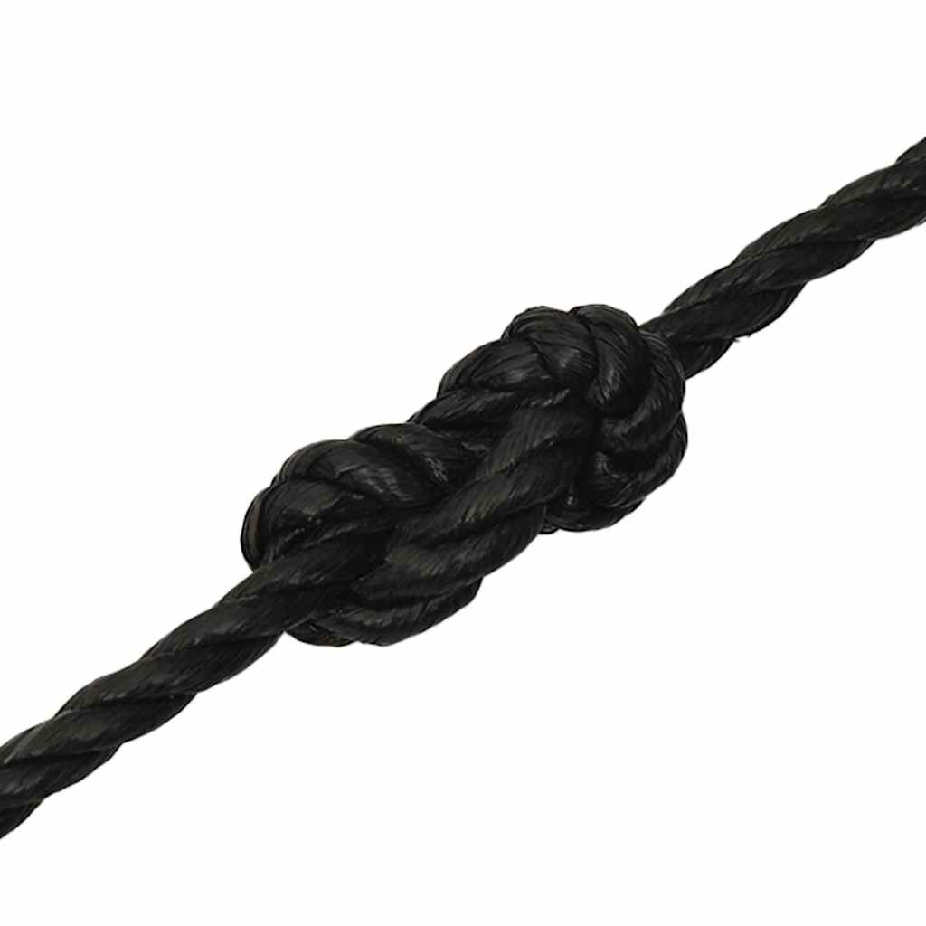 vidaXL Work Rope Black 10 mm 250 m Polypropylene 5