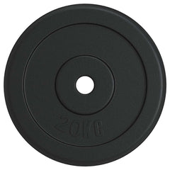 vidaXL Weight Plate 20 kg Cast Iron 2