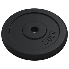 vidaXL Weight Plate 20 kg Cast Iron 3