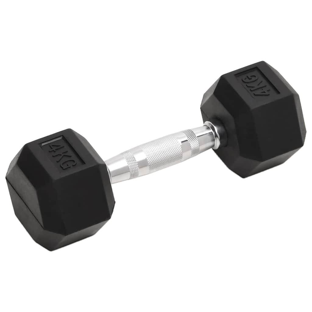 vidaXL Dumbbells 2 pcs 4 kg Total Cast Iron 2