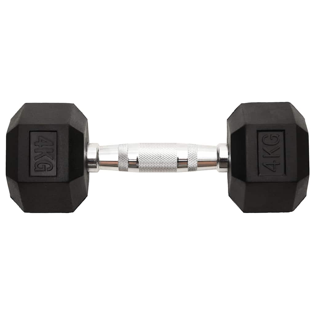 vidaXL Dumbbells 2 pcs 4 kg Total Cast Iron 4