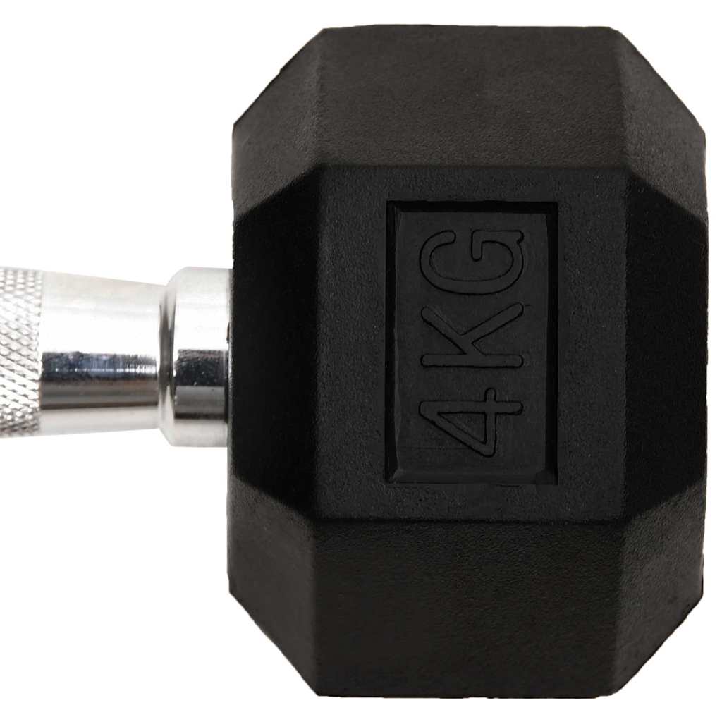 vidaXL Dumbbells 2 pcs 4 kg Total Cast Iron 6