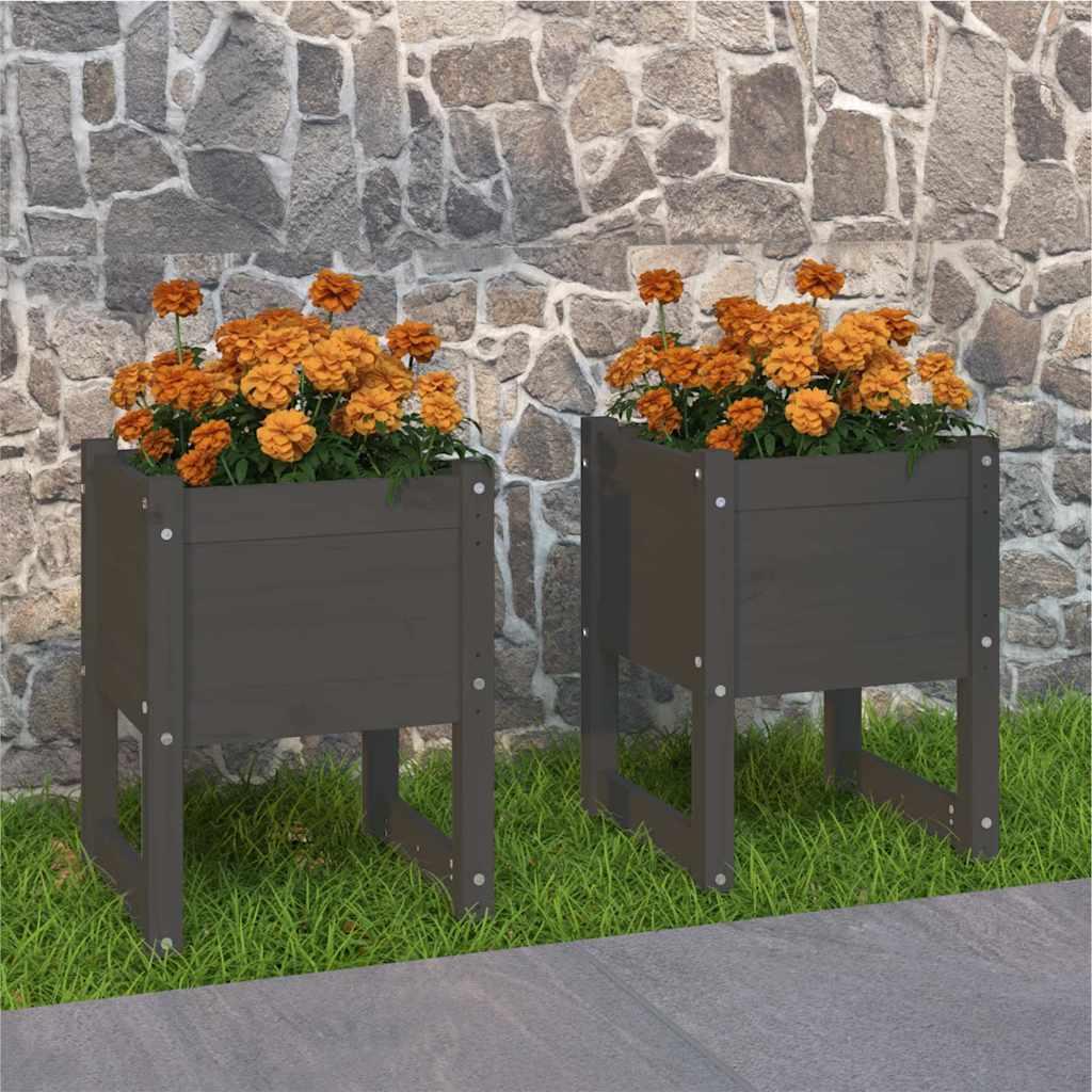 vidaXL Planters 2 pcs Grey 40x40x52.5 cm Solid Wood Pine 1