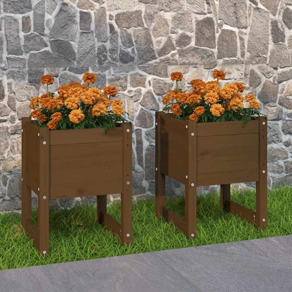 vidaXL Planters 2 pcs Honey Brown 40x40x52.5 cm Solid Wood Pine 1