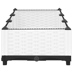 vidaXL Raised Bed 120x40x23 cm Polypropylene 3