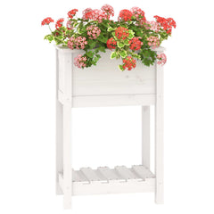 vidaXL Planter with Shelf White 54x34.5x81 cm Solid Wood Pine 4
