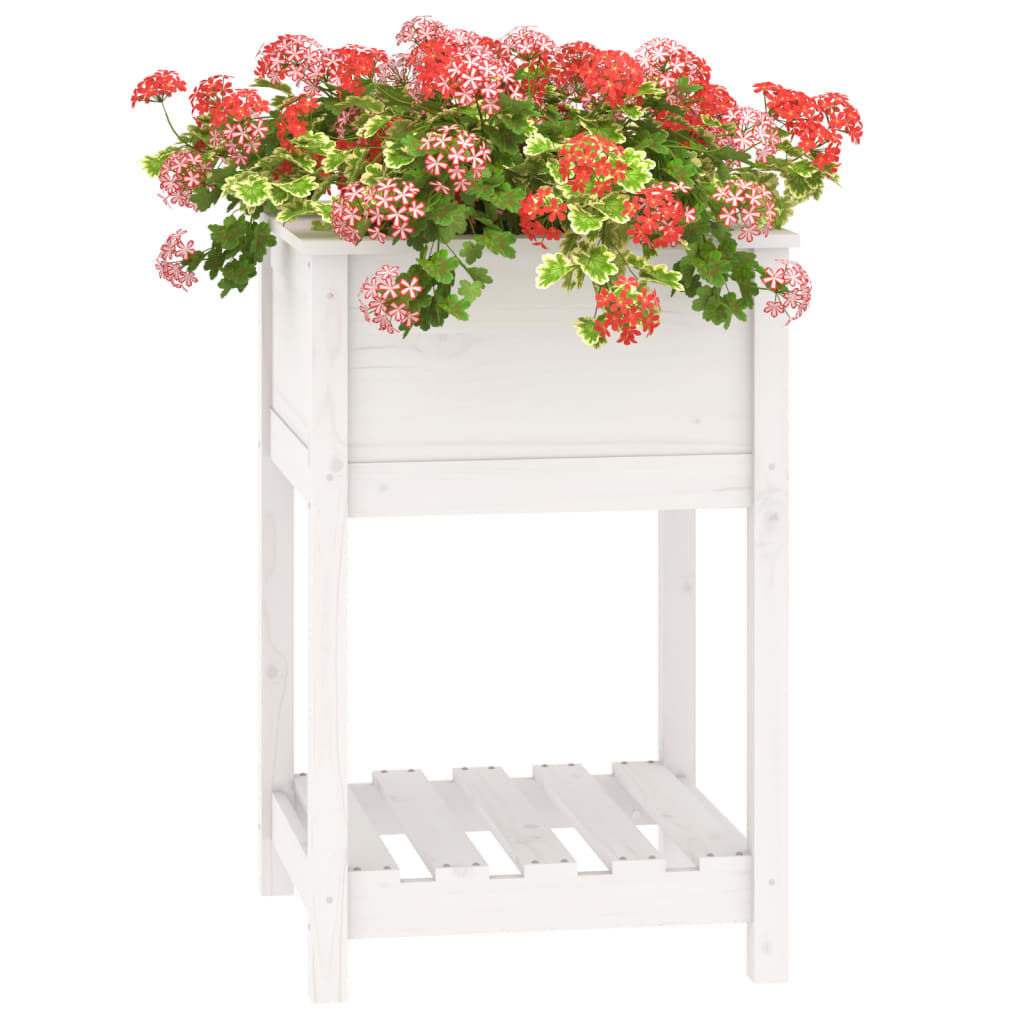 vidaXL Planter with Shelf White 54x54x81 cm Solid Wood Pine 4