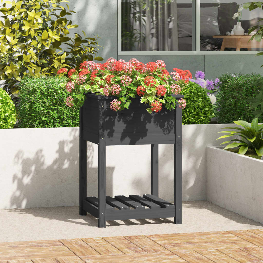 vidaXL Planter with Shelf Grey 54x54x81 cm Solid Wood Pine 1